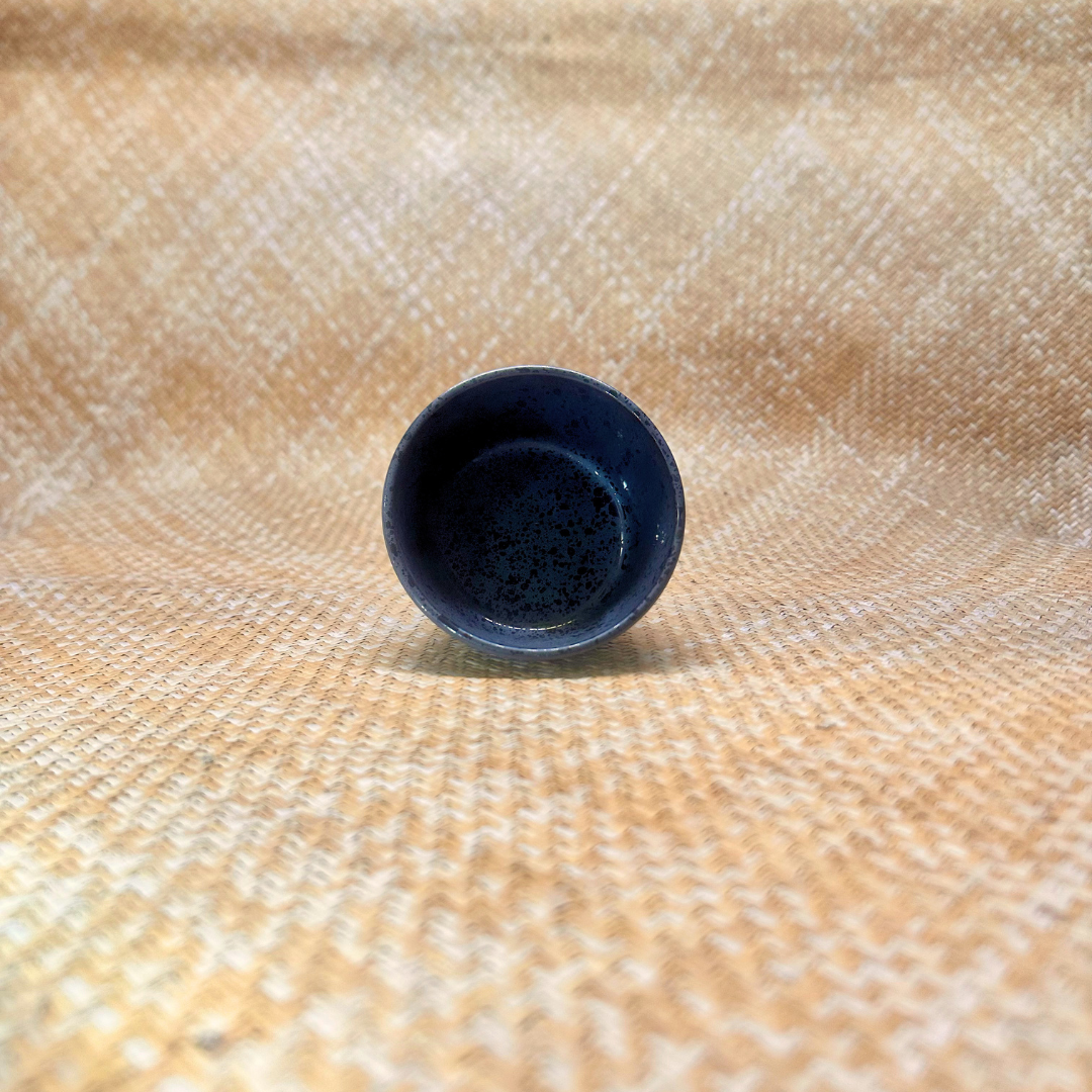 Noir tacheté - Saucier - 10 cm - E171